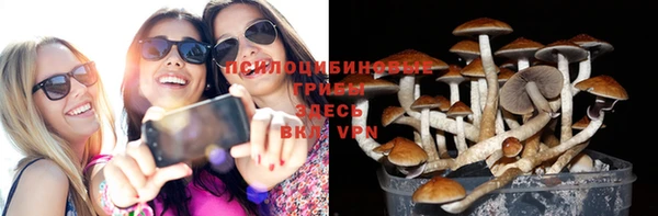 скорость Новозыбков