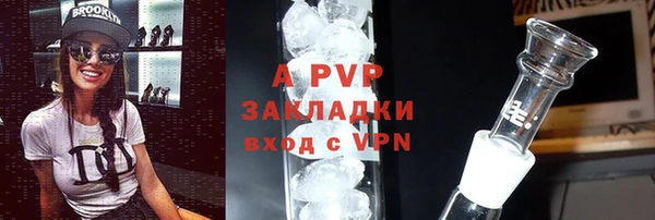 ПСИЛОЦИБИНОВЫЕ ГРИБЫ Новокубанск