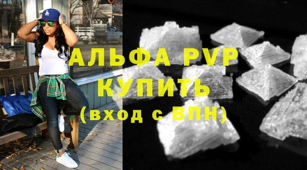 скорость Новозыбков