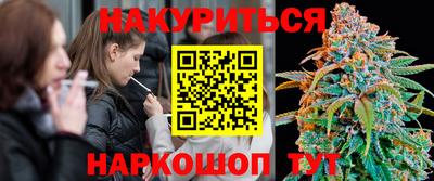 СК Кингисепп