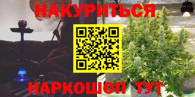 СК Кингисепп