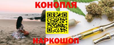 СК Кингисепп
