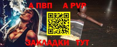СК Кингисепп