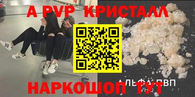 СК Кингисепп