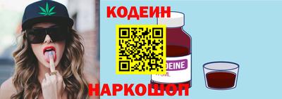 СК Кингисепп