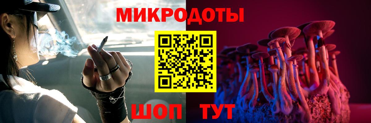 Псилоцибиновые грибы Psilocybe Тамбов